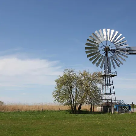 アパート Haus Sanddorn Nr 07 ティースゾー