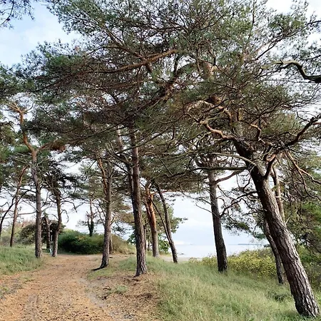 Haus Sanddorn Nr 07 アパート